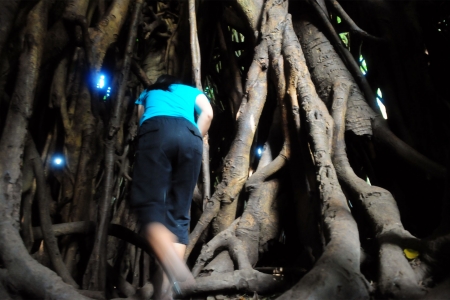 Crawling inside the old 'balete' tree